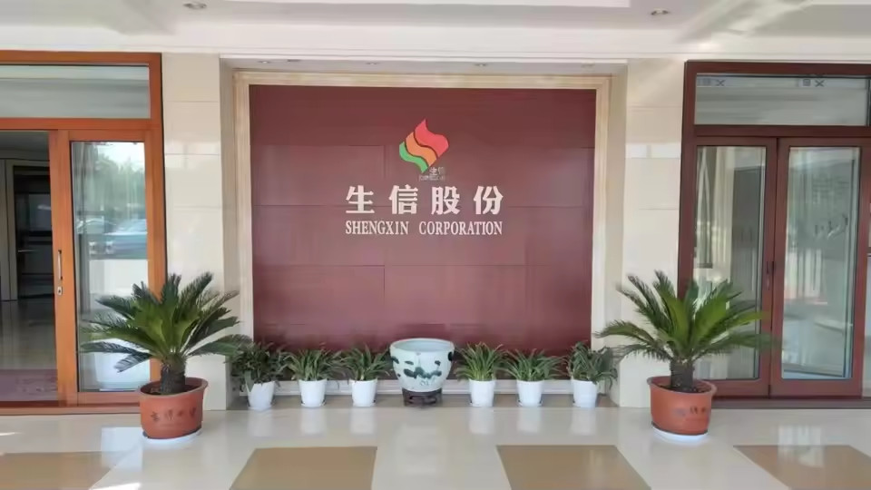 中国 ANHUI SHENGXIN  CORPORATION LIMITED 会社概要